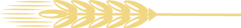 1LXFYT
