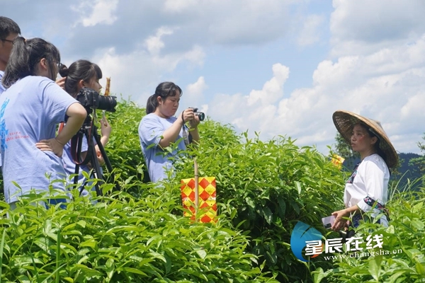 1657272757106037781.jpg document_news_content_62c7026e9dc8d_watermark1.jpg