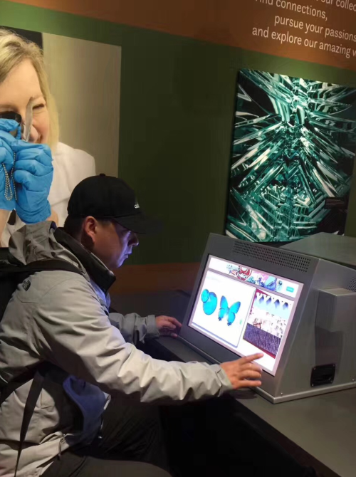 4.png