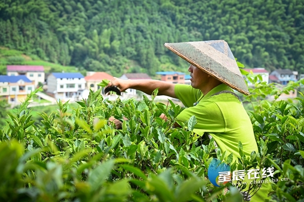 1657531009314029981.jpg 微信图片_20220711165658.jpg